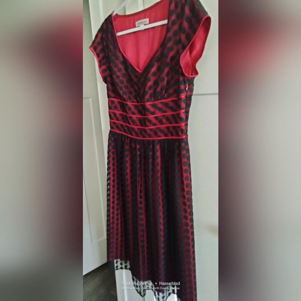 Red Black Holiday Party Dress Size 12 Christopher Banks
